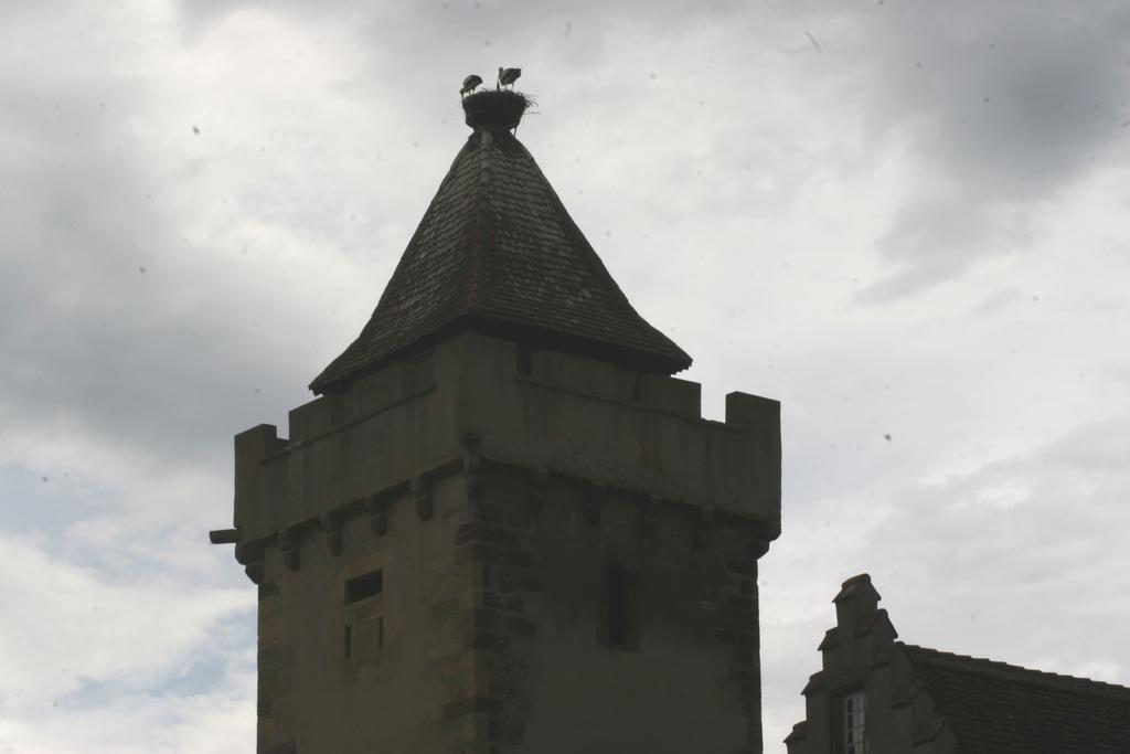 Gite Duplex Du Vignoble Alsace Rouffach Exterior foto